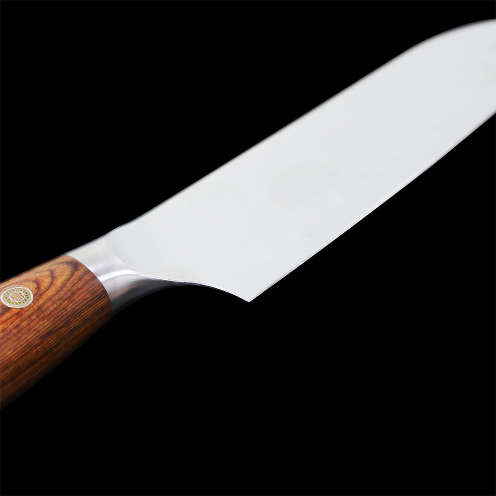 Knife Set with Magnetic Holder